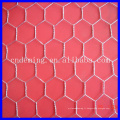 Clôture métallique hexagonale de haute qualité